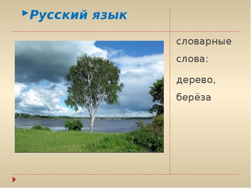 Есть слово дерев. Дерево словарное слово. Словарные слова к слову дерево. Дерево словарное слово или нет. Текст на дереве.