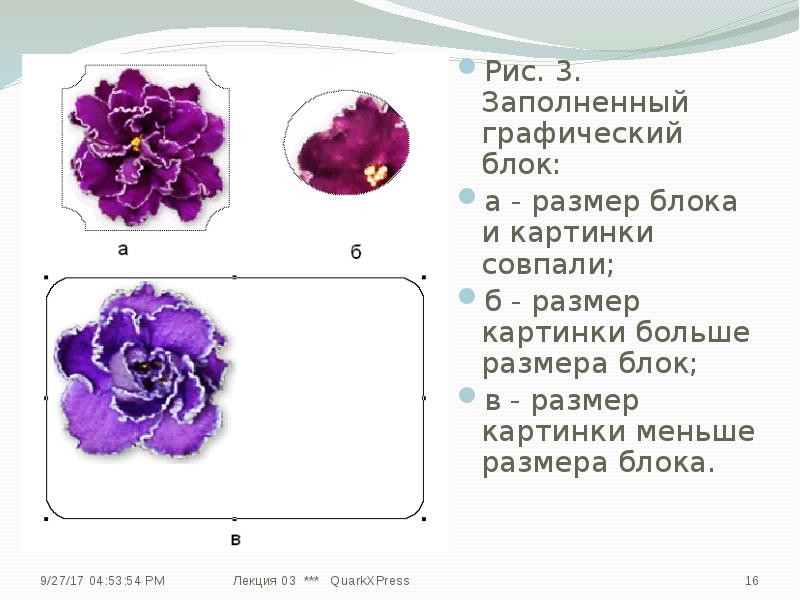 Размер изображения презентация