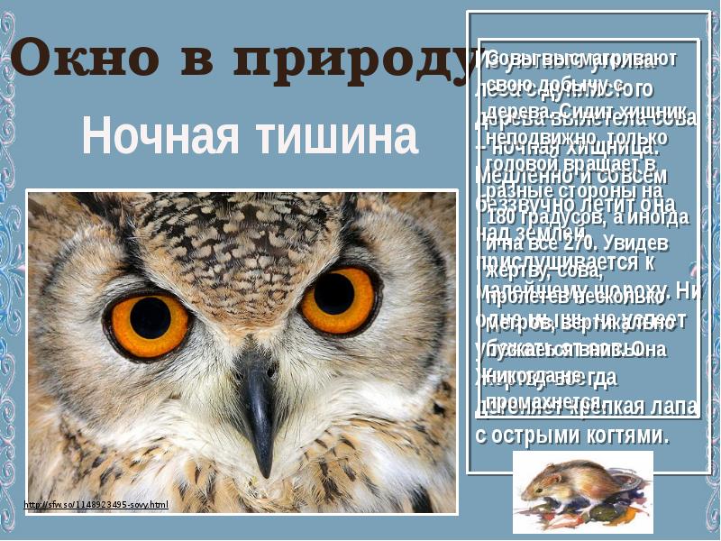 Сова презентация 2 класс. Сова для презентации. Это интересно Сова. Сова презентация для детей. Интересные факты о совах для детей дошкольного возраста.