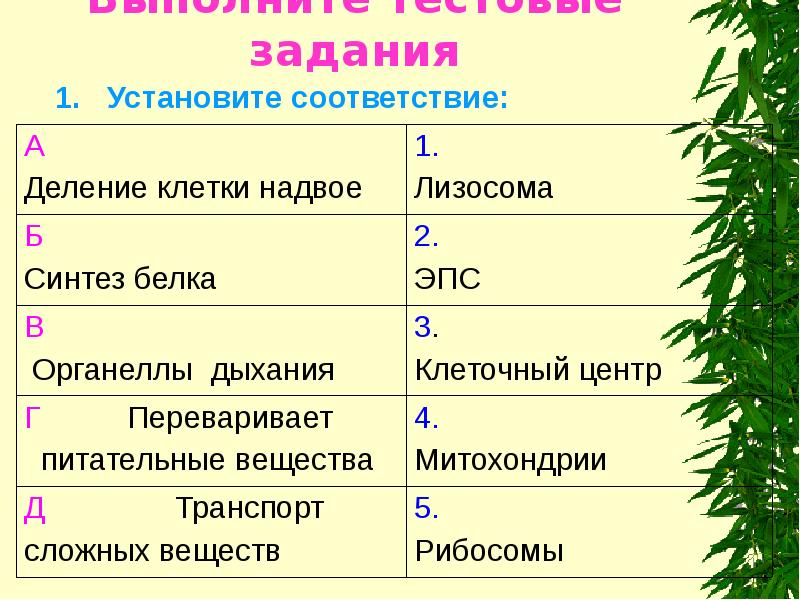 Выполните тестовые задания
1. Установите соответствие: Выполните тестовые задания
1. Установите соответствие: