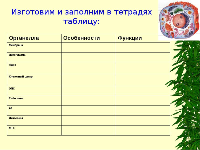 Изготовим и заполним в тетрадях таблицу: Изготовим и заполним в тетрадях таблицу: