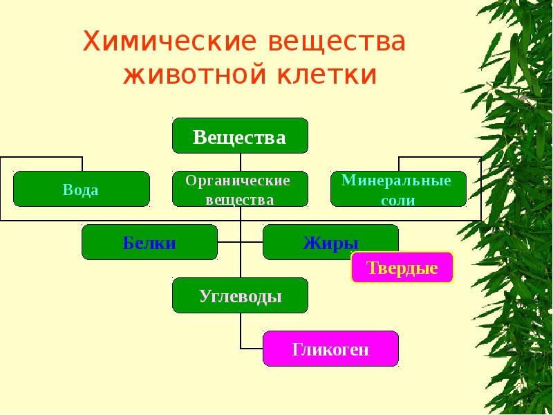 Минеральные вещества животной клетки. Неорганические минеральные вещества клетки. Минеральные вещества животной клетки. Роль минеральных веществ в организме. Минеральные вещества в пищевых продуктах.