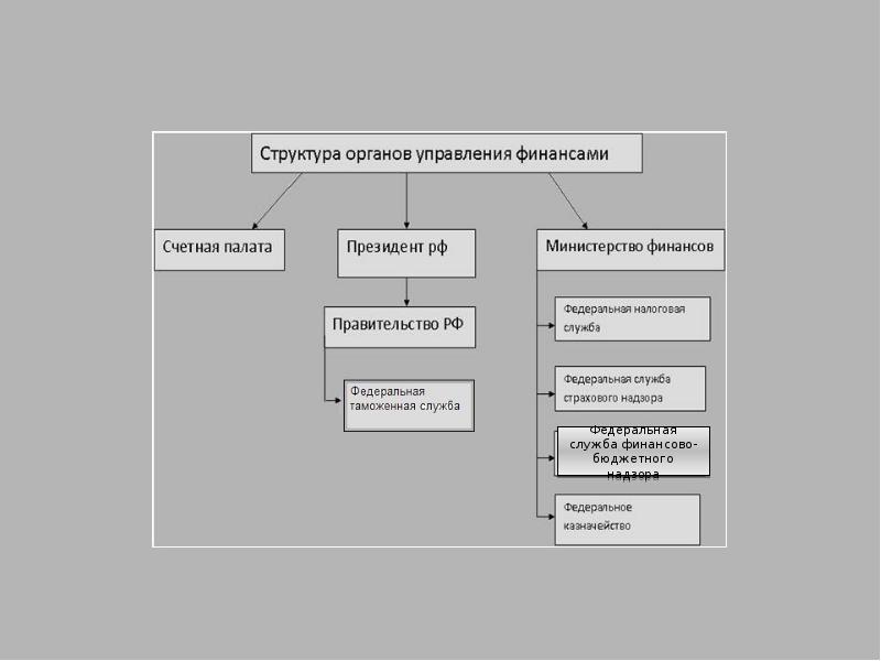 Органы государственного управления. Структура органов управления финансами в РФ. Схема управления финансами в РФ. Схема органов управления финансами в РФ. Схема отражающая органы управления финансами.