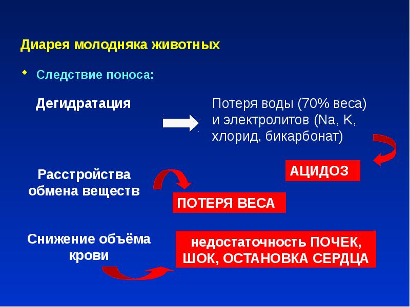 Нмо диарея ответы