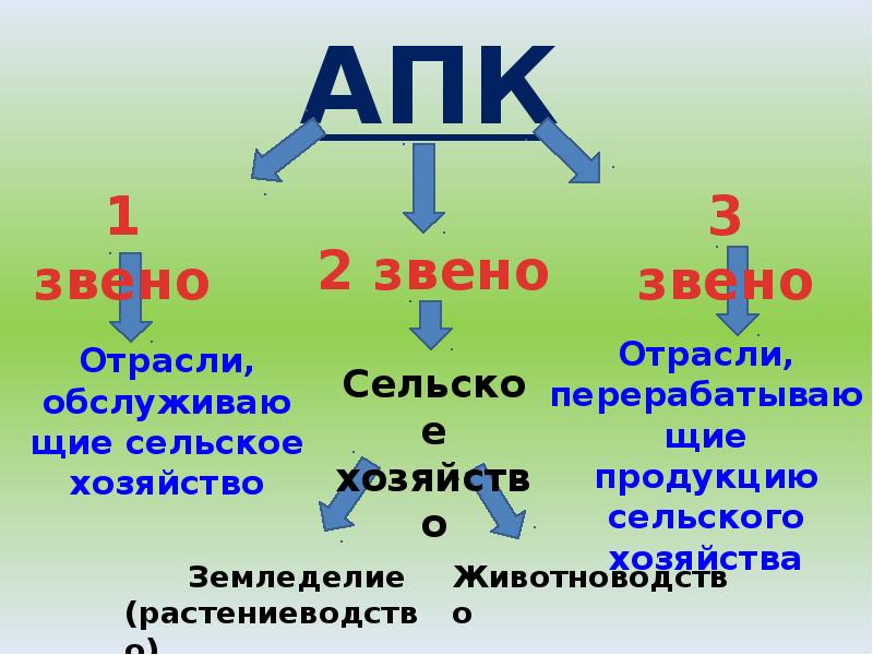 Проанализируйте структуру апк на рисунке 107 объясните почему звенья апк связаны между собой