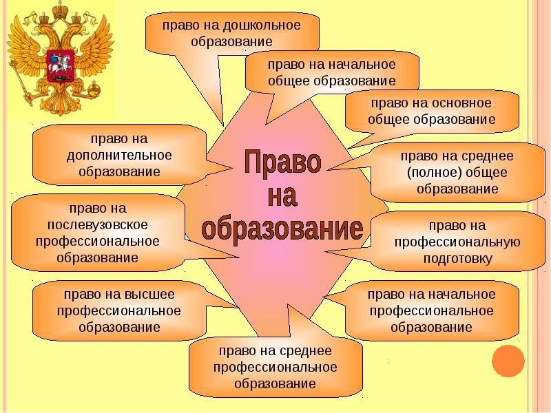 Заполните схему классификация прав обучающихся права обучающегося