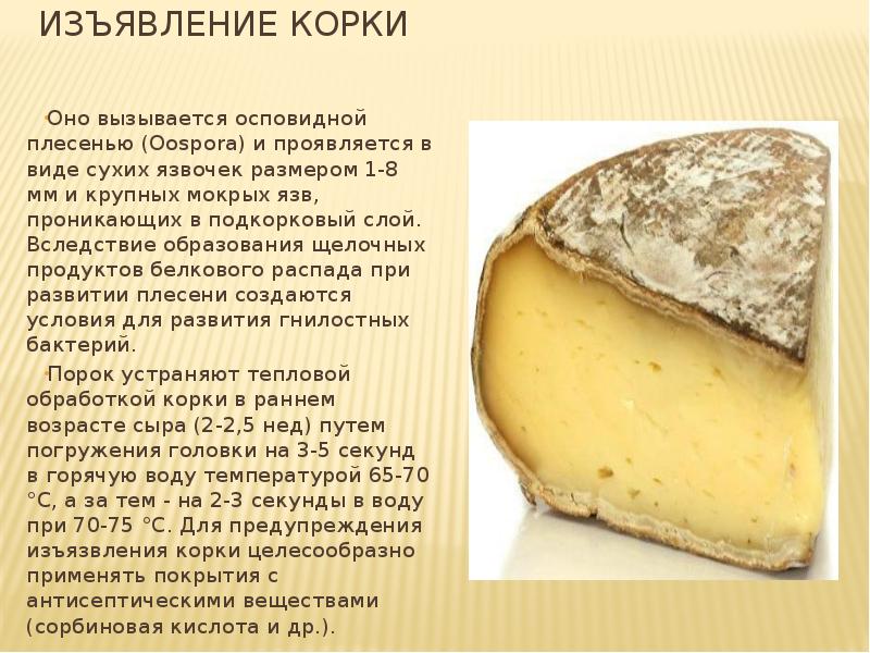 Какой твердый сыр не имеет корки и рисунка