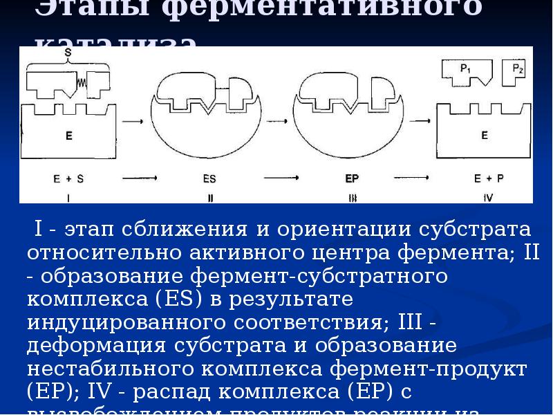 Этап ориентации