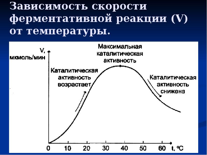 Скорость реакции возрастает