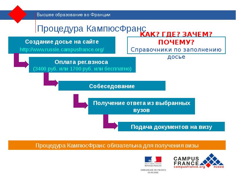 Проект образование во франции