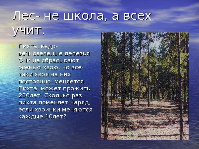 Лес не школа а всему учит сладков план пересказа