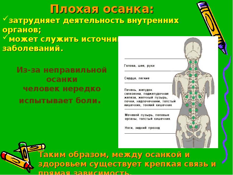 Влияние осанки на здоровье человека проект