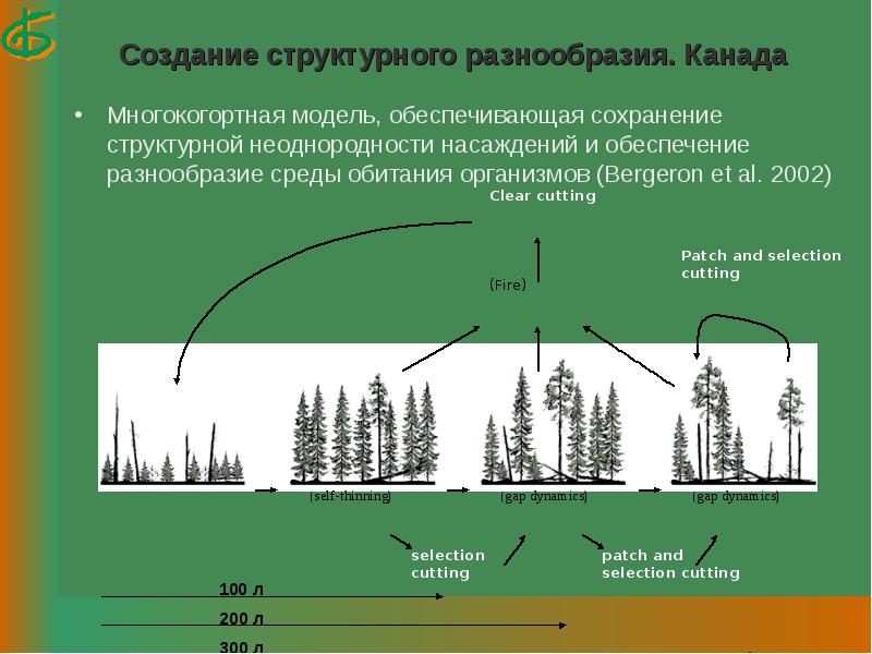 Структурное разнообразие. Биоразнообразие леса. Пространственная неоднородность биоразнообразия. Деревья с защитным функциям. Модели неоднородности леса.