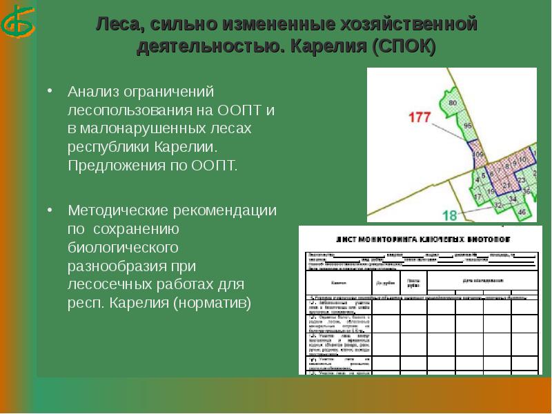 Сильно измененные. Малонарушенные леса характеризуются:. Лесопользование сравнительный анализ. Анализ леса. Ограничения в лесопользовании.