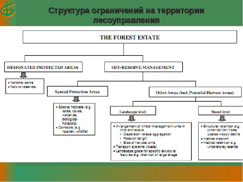 Структура ограничения. Структурные лимиты. Структура и классификация биоразнообразия. Структурные лимиты картинки. Первичным звеном лесоуправления является какое.