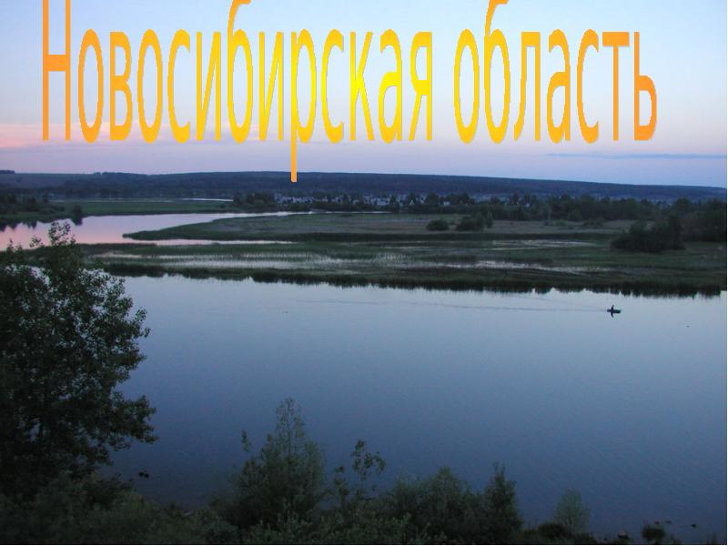 Реферат: Новосибирская область