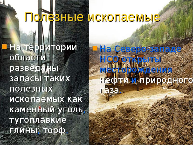 Окружающий мир полезные ископаемые родного края. Прлезные ископаемые Новосибирск. Полезные ископаемые родного края. Полезные ископаемые Новосибирского края. Проект полезные ископаемые.