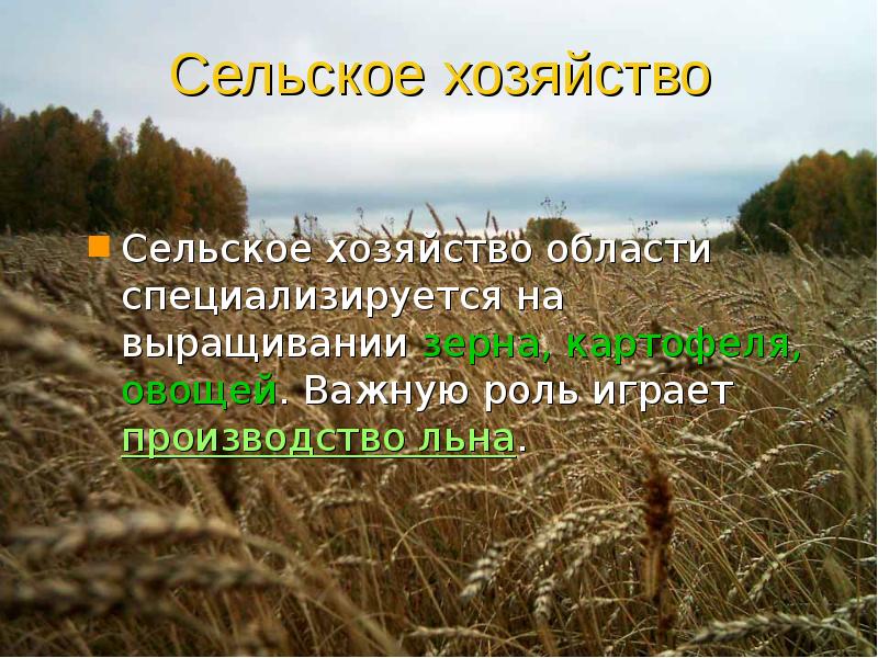 Сельское хозяйство слова. Экономика родного края Новосибирская область. Проект экономика родного края Новосибирская область. Сельское хозяйство родного края. Проект экономика родного края Новосибирск.