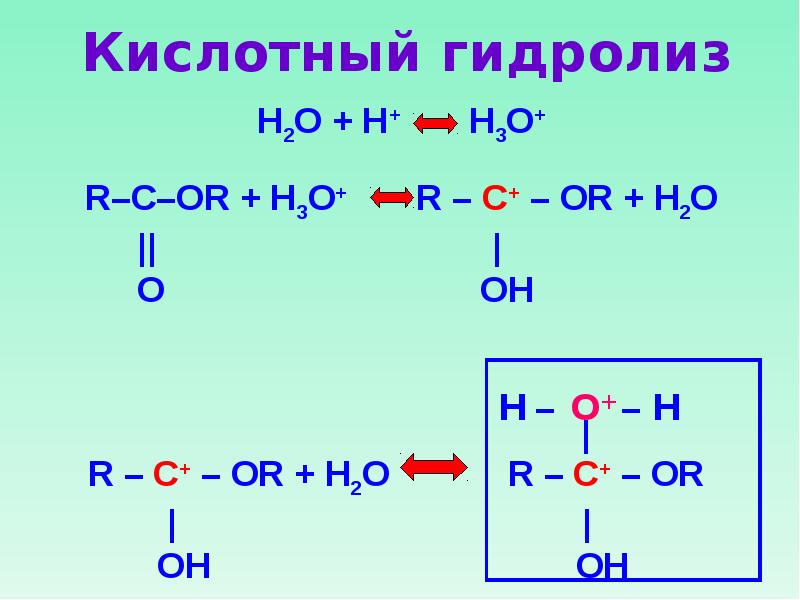 Какие вещества образуются при гидролизе метилпропионата. Кислотный гидролиз. Кислотный гидролиз изопропилацетата. Гидролиз пептидных связей.