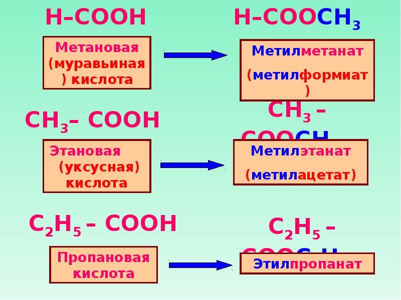 Презентация функциональные производные карбоновых кислот