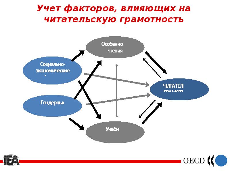 Фактор учета. Факторы влияющие на уровень читательской грамотности. Факторы влияющие на развитие функциональной грамотности. Назовите факторы влияющие на уровень читательской грамотности. Факторы влияющие на формирование читательской грамотности.