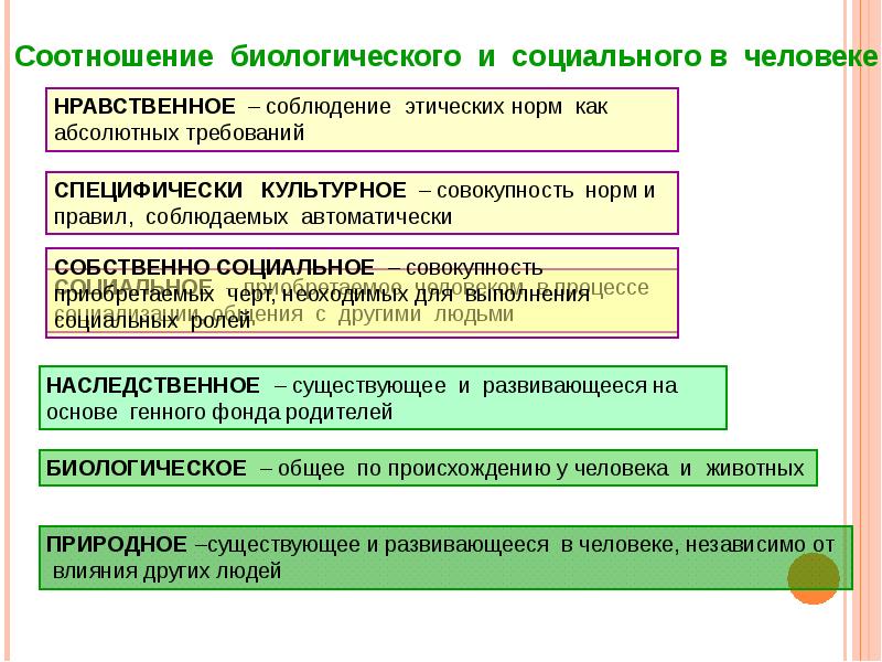 1 биологическое и социальное в человеке. Соотношение биологического и социального в человеке. Взаимосвязь биологического и социального в человеке. Как соотносятся в человеке биологическое и социальное. Проблема соотношения биологического и социального в человеке.