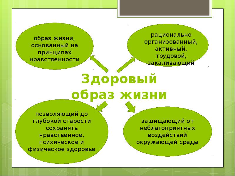 Нравственность основа здоровья. Нравственность и здоровый образ жизни. Пропаганда здорового образа жизни. Агитация здорового образа жизни. Нравственность и здоровый образ жизни ОБЖ.