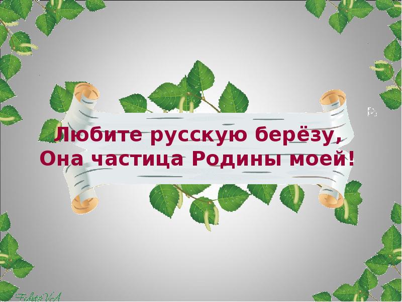 Люблю березку русскую проект