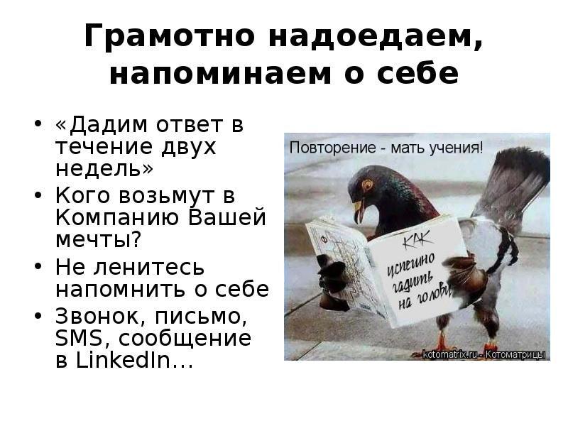 Напомнить подробно. Как напомнить о себе. Напоминаю о себе. Напомнить о себе мужчине. Картинки с напоминанием о себе.