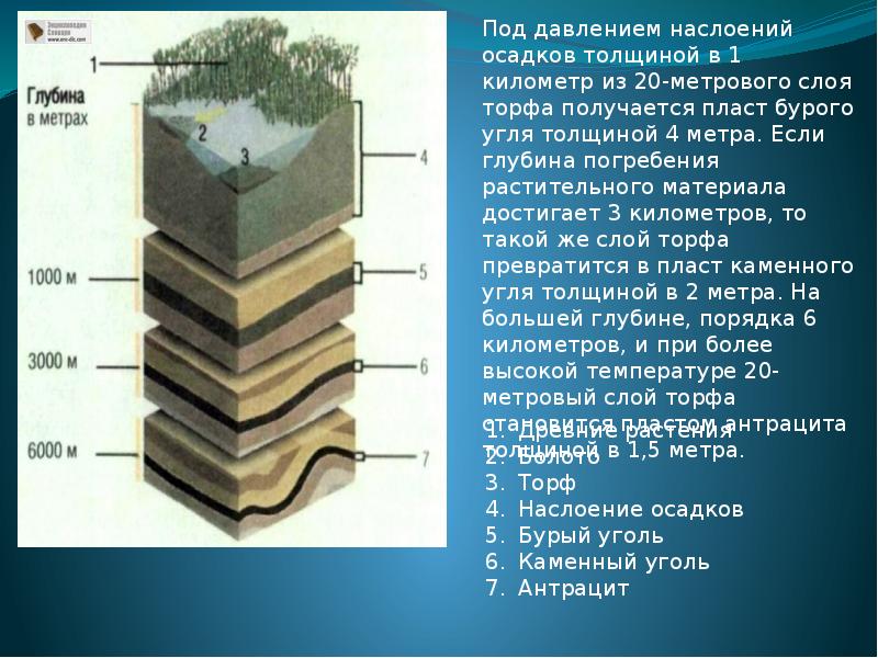 Бурые осадки. Слои торфа. Глубина торфа. Торф максимальная толщина слоя. Разрез слоя торфа.