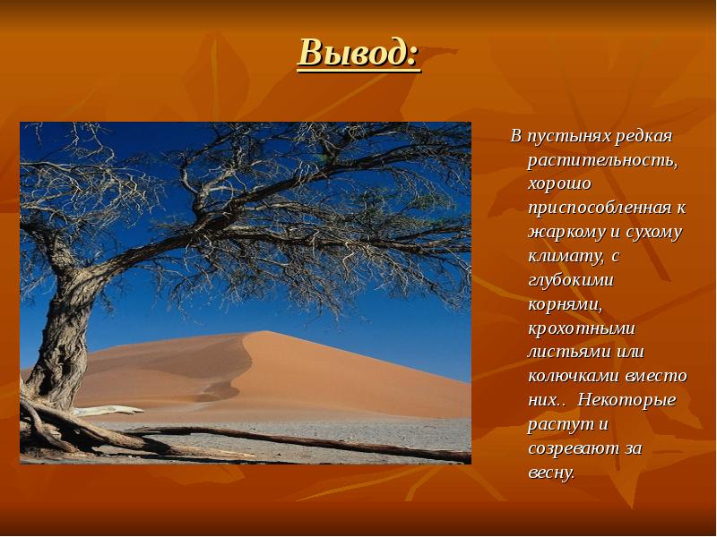 Описание климата пустыни. Пустыня презентация. Презентация на тему пустыни. Климат пустыни. Описание пустыни.