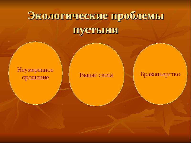 Экологические проблемы пустыни. Экологические проблемы пустыни и полупустыни. Экологические проблемы пустынь России. Экологические проблемы пустынь и полупустынь в России.