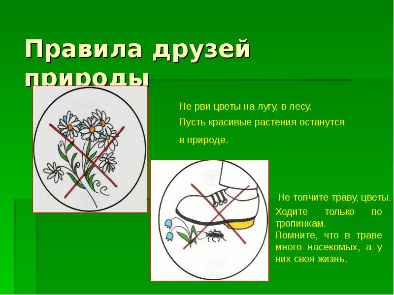 Правила охраны природы весной рисунок