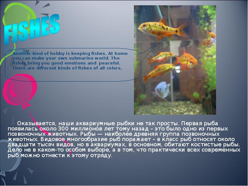Про рыбу на английском. Проект Мои домашние питомцы рыбки. Проект мой аквариум. Проект аквариума для рыб. Проект Мои домашние питомцы аквариумные рыбки.