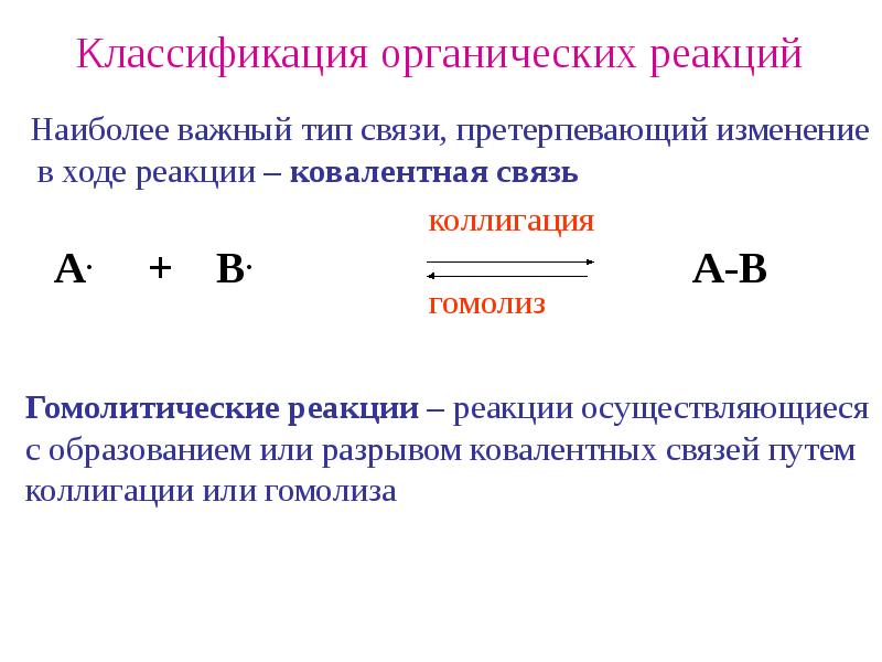 Электроне 19