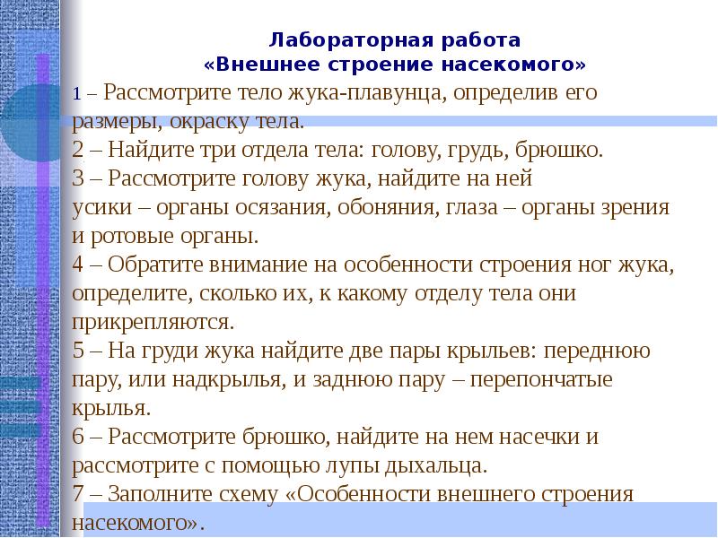 Класс насекомые лабораторная работа внешнее строение насекомого