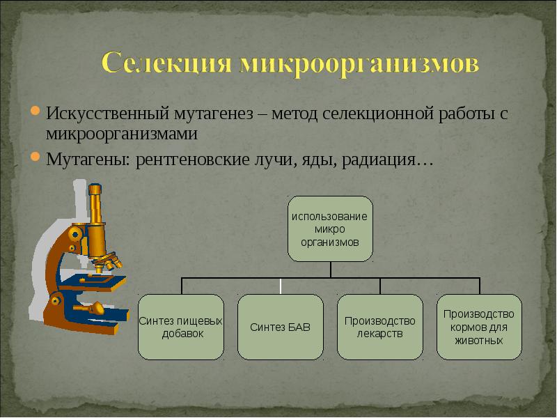 Искусственный мутагенез