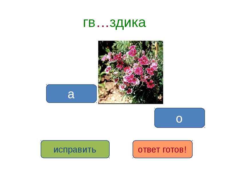 Проект на тему словарь цветов