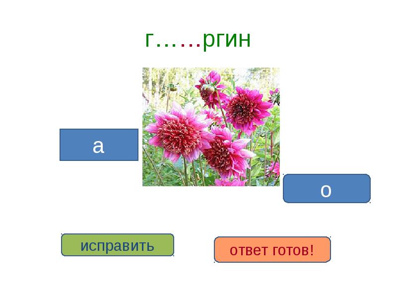 Проект на тему словарь цветов