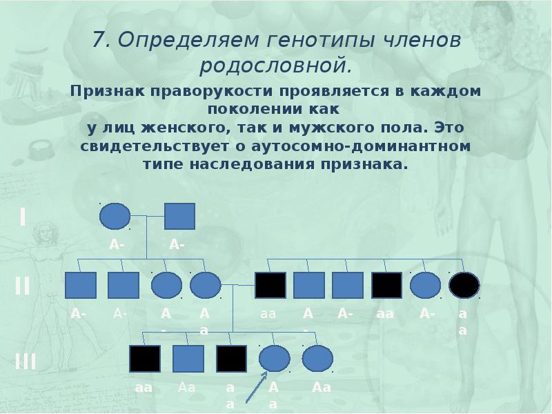 Подбор родительских форм анализ родословных исходных форм. Подбор родительских форм анализ родословных исходных форм