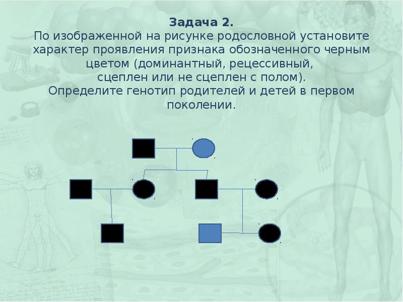 По изображенной на рисунке родословной установите характер проявления признака доминантный или 1 2