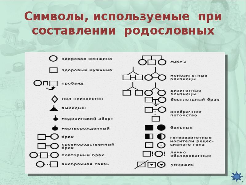 Анализ родословных презентация