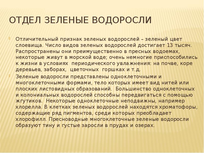 Признаки зеленых. Условия жизни зеленых водорослей. Зеленые водоросли презентация. Условия дищни зелёные водоросли. Число видов зеленых водорослей.