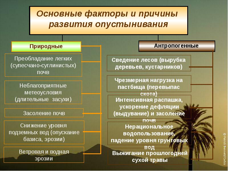 Глобальные антропогенные изменения в биосфере презентация