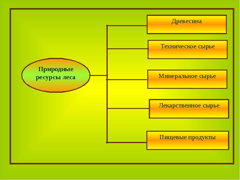 Роль человека в природе 6 класс презентация