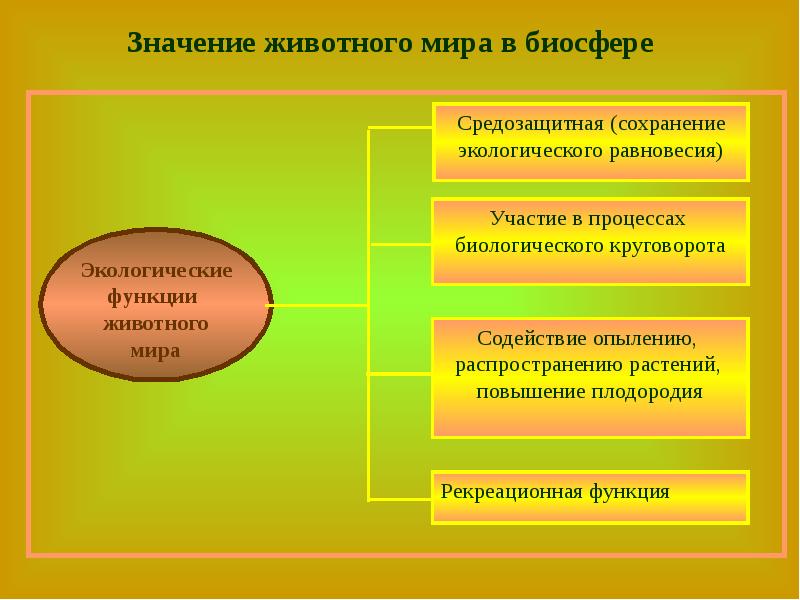 11 класс биология презентация роль живых организмов в биосфере