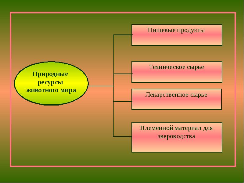 Роль человека в мире. Техническое сырье.