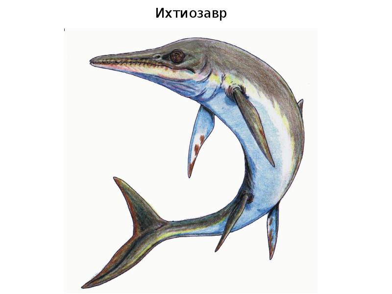 Ихтиозавр