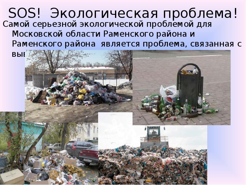 Реферат: Экологические проблемы московского региона