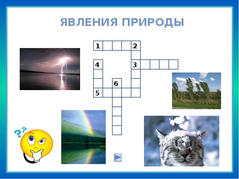 Тест по теме живой природы. Кроссворд явления природы. Кроссворд природные явления. Явления природы кроссворд для детей. Кроссворд на тему явления природы.